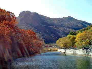 新澳天天开奖资料大全旅游团，菲翔论坛